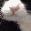 😋