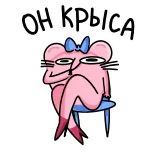 🤩 telegram sticker