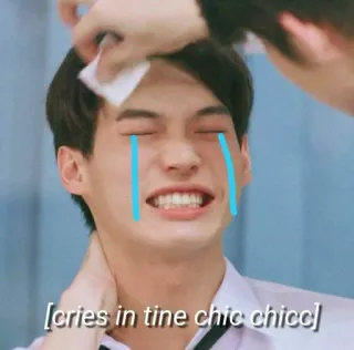 😭 cries in tine chic chicc telegram sticker