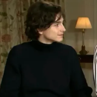 🦋 Timothée Chalamet diễn viên, chân dung, người nổi tiếng, đàn ông, đẹp trai, người telegram sticker