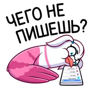 🐦 ЧЕГО НЕ ПИШЕШЬ? Cartoon, Vogel, Verdrietig, Wachten, Schrijven, Russisch, Sticker whatsapp sticker