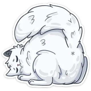 🍑 cat, animal, cute, sticker, white cat, cartoon telegram sticker