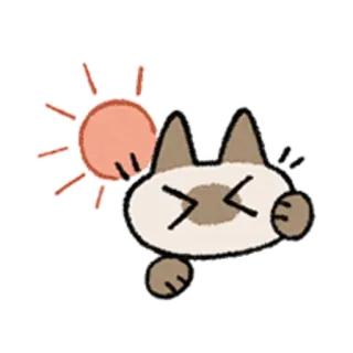 😺 gato, sol, fofo, animal, adesivo telegram sticker