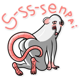 💕 SISS-SENA?! rata, trasero, dibujo animado, animal, divertido, meme telegram sticker