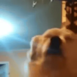 🚬