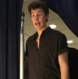 😧 Shawn Mendes celebrity, singer, funny face, musician, pop star telegram sticker
