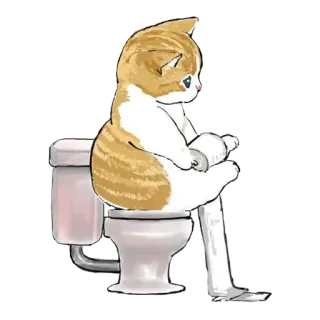 🚽 kucing, toilet, tisu toilet, kartun, binatang, kamar mandi telegram sticker