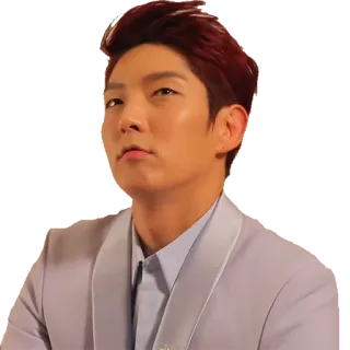 🙄 person, man, portrait, korean, actor, celebrity, lee joongi telegram sticker