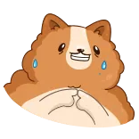 Hamster Bernard whatsapp stickers