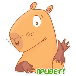 Капи Барри @MasterLamaArt whatsapp stickers