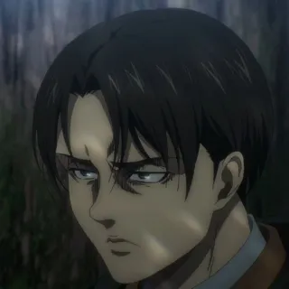 ☁️ Levi Ackerman Attack on Titan anime, attack on titan, levi, captain levi, survey corps, ackerman telegram sticker