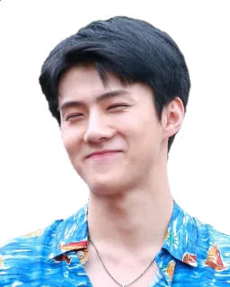 ☺️ man, asian, kpop, celebrity, portrait, smile telegram sticker