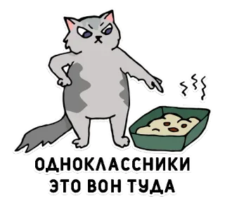 💩 ОДНОКЛАССНИКИ ЭТО ВОН ТУДА cat, russian, social media, funny, illustration, animal, cartoon telegram sticker