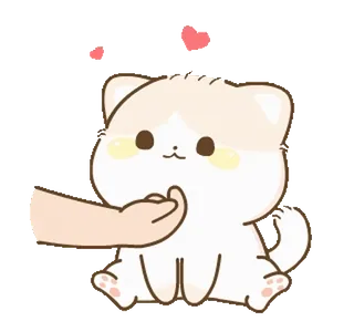 😍 кот, котёнок, милый, рука, домашнее животное, животное, каваий whatsapp sticker