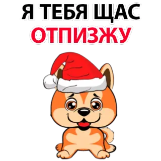 Dog @stickersb2b telegram stickers