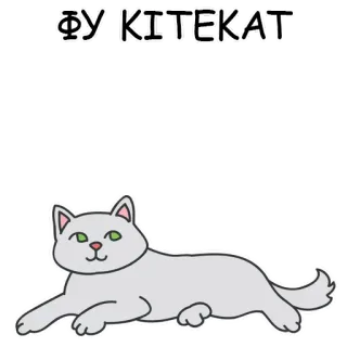😕 ФУ КІТЕКАТ cat, sticker, funny, offensive telegram sticker