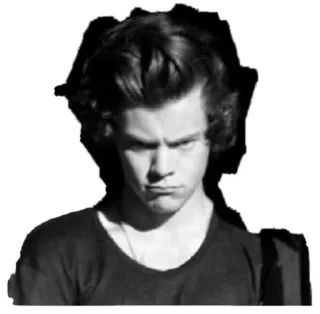 😤 harry styles, singer, celebrity, portrait telegram sticker