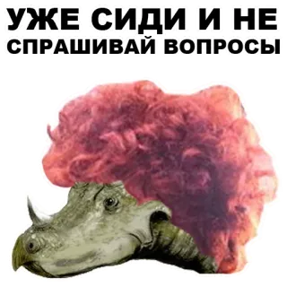 👍 УЖЕ СИДИ И НЕ СПРАШИВАЙ ВОПРОСЫ animale, dinosauro, seduto, rinoceronte, divertente whatsapp sticker