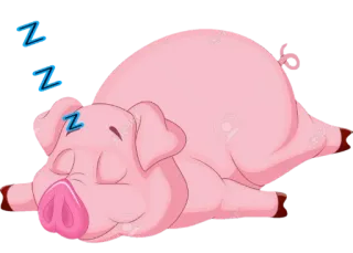 🐷 Z หมู, นอนหลับ, สัตว์, การ์ตูน, กำลังหลับ telegram sticker