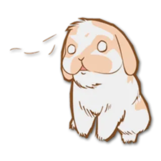 😳 シーシ かわいい, 動物, うさぎ, 漫画, ウサギ, イラスト telegram sticker