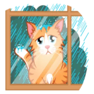 🌦 고양이, 비, 창문, 슬픈, 주황색, 새끼 고양이, 애완 동물 telegram sticker