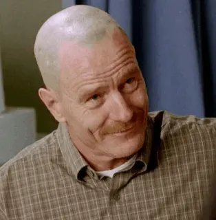 🌓 Walter White Breaking Bad tv series, bald, mustache, cooking meth, drugs, smirking telegram sticker