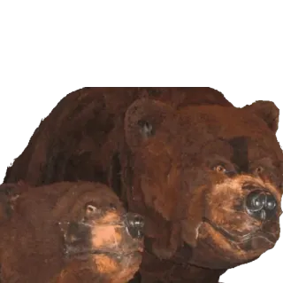 taxiderm telegram stickers