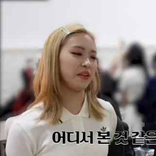 💡 어디서 본 것 같은 telegram sticker
