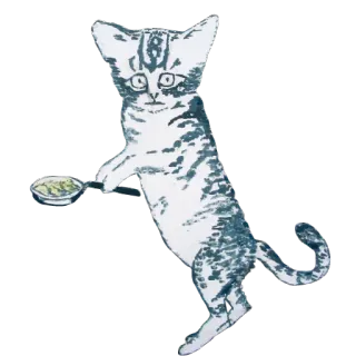 😸 แมว, สัตว์, สัตว์เลี้ยง, อาหาร, เสิร์ฟ telegram sticker
