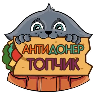 🌮 АНТИДОНЕР ТОПЧИК cat, antidoner, topchik, food, sandwich, funny, russian, sticker telegram sticker