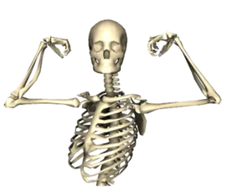 💪 scheletro, ossa, muscolo, flessione, halloween, divertente, spaventoso telegram sticker