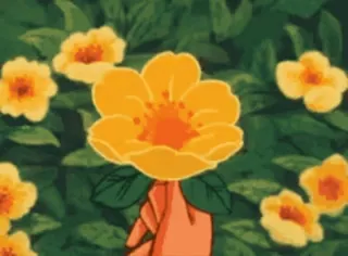 🤍 fleur, jaune, main, esthétique, nature, floral whatsapp sticker