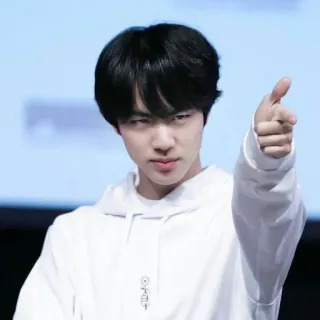 🐹 Jin Jin, BTS, Kpop, Sänger, Promi telegram sticker