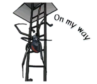Spiders Time @stickersb2b whatsapp stickers