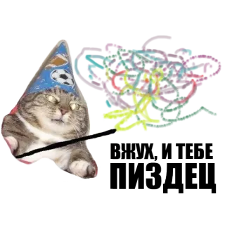✨ kat, feestmuts, toverstaf, feest, schattig, dier telegram sticker