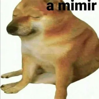 😴 doge a mimir dog, meme, sleep, doge, calm telegram sticker