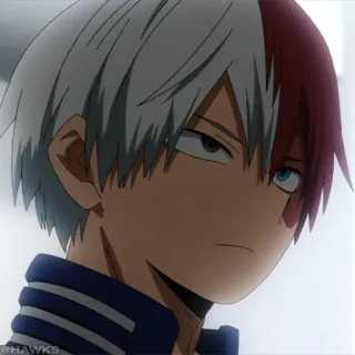 🟧 Shoto Todoroki My Hero Academia @HAWKS Anime, Manga, Shonen, My Hero Academia, Shoto Todoroki, Anime Charakter whatsapp sticker