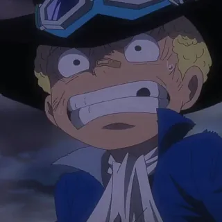 🔥 Sabo One Piece Anime, Sabo, One Piece, Pirata, Personagem, Chapéu telegram sticker