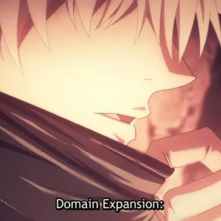 😞 Domain Expansion: anime, domain expansion, manga, art, text telegram sticker