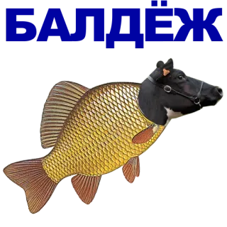 🐠 poisson, vache, animal, hybride, fantaisie, drôle whatsapp sticker