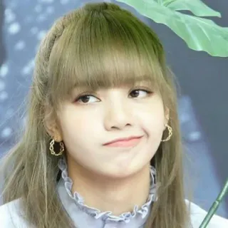 😏 Lisa Lisa, Blackpink, K-pop, cantora, ídolo, celebridade, mulher, expressão facial telegram sticker