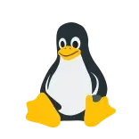 💻