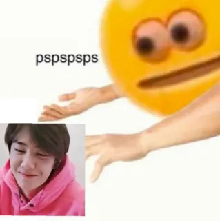 🤍 pspspsps Mème, pspsps, Émoji, Visage telegram sticker