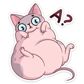 ❓ A.? cat, sphynx cat, cute, cartoon, animal, pet, question telegram sticker
