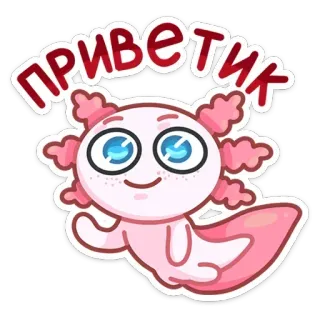 Лотти от @stickers_vk whatsapp stickers