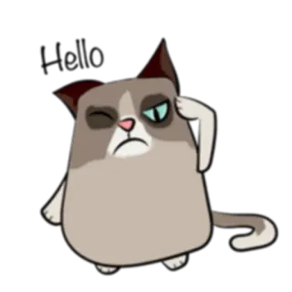 👋 Grumpy Cat кот, ворчливый, мем, смешной, животное, мультфильм telegram sticker