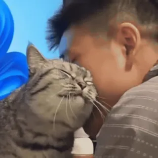 🥰 cat, man, affection, cute, pet, love, bonding, cuddling telegram sticker