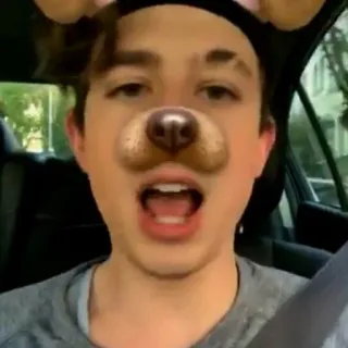 ✨ Hundefilter, Selfie, Person, Mann, Porträt, Ohren, Snapchat Filter whatsapp sticker