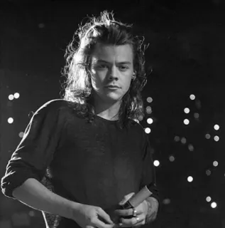 🎵 Harry Styles singer, celebrity, musician, pop star, one direction, harry styles telegram sticker