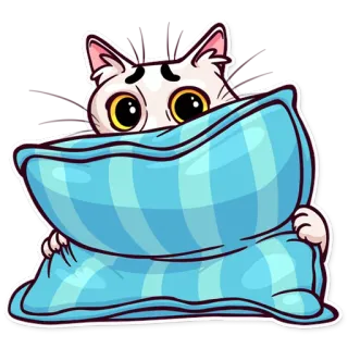 😳 cat, pillow, cute, animal, sleepy, cartoon, sticker telegram sticker